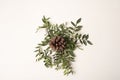 Centerpiece for Christmas, natural elements, green bush and pinecone Royalty Free Stock Photo