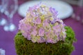 Centerpiece featuring a cluster of purple hydrangeas resting on a thick green moss mount Royalty Free Stock Photo