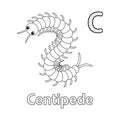 Centipede Animal Alphabet ABC Isolated Coloring C