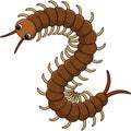 Centipede Animal Cartoon Colored Clipart