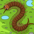 Centipede Animal Colored Cartoon Illustration