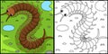 Centipede Animal Coloring Page Illustration