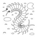 Centipede Animal Coloring Page for Kids