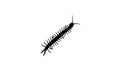Centipede bug animal zoo symbol icon silhoutte