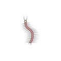 centipede colored outline icon. One of the collection icons for websites, web design, mobile app Royalty Free Stock Photo