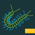 Centipede insect outline