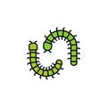 centipede line icon. Element of jungle for mobile concept and web apps illustration. Thin line