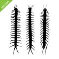 Centipede silhouettes vector