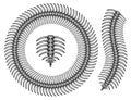 Centipede skeleton vintage pattern brush concept