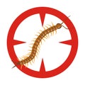 Centipede vector icon.Cartoon vector icon isolated on white background centipede .