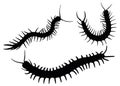 Centipedes in the set. Pests and parasites