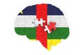 Central African flag painted on the brain from puzzles. Scientific research and education in Central African Republic concept, 3D