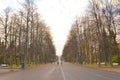 Central alley in park at autumn.