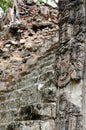 Central America, Copan Mayan ruins in Honduras Royalty Free Stock Photo