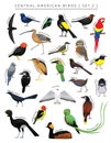 Central American Birds Set Cartoon Vector Character 2
