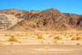 Central and Bleak Sonora Desert Arizona