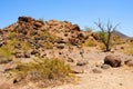 Central and Bleak Sonora Desert Arizona