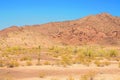 Central and Bleak Sonora Desert Arizona