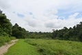 The Central Catchment Nature Reserve is the largest nature reserve in Singapore & also acts as a water catchment area Royalty Free Stock Photo