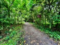 Central catchment park connector Royalty Free Stock Photo