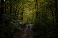 A central european woman is walking on a gloomy gravel path through a picturesque, dense deciduous forest Royalty Free Stock Photo