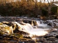 Cenarth Falls, West Wales, UK Royalty Free Stock Photo