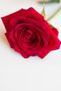 Central focus on a red rose and vase floral display arrangement interior design decoration