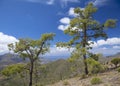 Central Gran Canaria, Nature Reserve Inagua