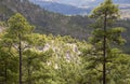 Central Gran Canaria, Nature Reserve Inagua