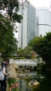 Hong Kong park, pond with turtles.