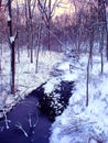 Central Illinois Winter Forest Stream Royalty Free Stock Photo