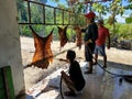 Goat skins are burned over a fire by men during the Eid al-Adha sacrificial ritual Royalty Free Stock Photo
