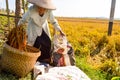 Aged farmer collecting paddy