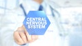 Central nervous system, Doctor working on holographic interface, Motion Graphics Royalty Free Stock Photo