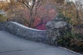 Central Park autumn Gapstow bridge Royalty Free Stock Photo