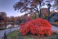 Central Park autumn Gapstow bridge Royalty Free Stock Photo