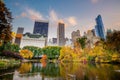 Central Park in autumn  in midtown Manhattan New York City Royalty Free Stock Photo