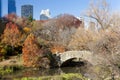 Central Park Autumn - New York City Royalty Free Stock Photo