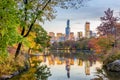 Central Park during autumn in New York City Royalty Free Stock Photo