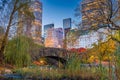 Central Park during autumn in New York City Royalty Free Stock Photo