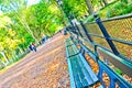 Central Park in autumn in New York Royalty Free Stock Photo