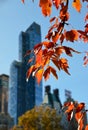 Central Park in the autumn, NYC, USA.