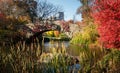Central Park autumn scene by the lake Royalty Free Stock Photo