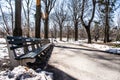 Central Park Benchs View Royalty Free Stock Photo