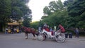 Central Park boardwalk and carriage with a horses Royalty Free Stock Photo