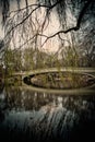 Central Park Bridge Royalty Free Stock Photo