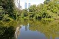 Central Park and buildings reflection in midtown Manhattan, New York Royalty Free Stock Photo