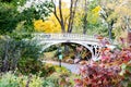 Central Park fall landscape scene with an old bridge surrounded by colorful trees in New York City Royalty Free Stock Photo