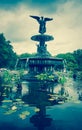 Central Park Fountain Royalty Free Stock Photo