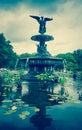 Central Park Fountain